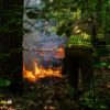 Bosbrand in de oude warande snel onder controle