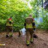 Brand in bosgebied snel onder controle Dwingeloostraat Tilburg