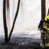 Bosbrand bij Blauwe Meer in Loon op Zand snel onder controle
